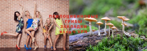 сатива Осинники