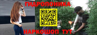 мдпв Гусь-Хрустальный